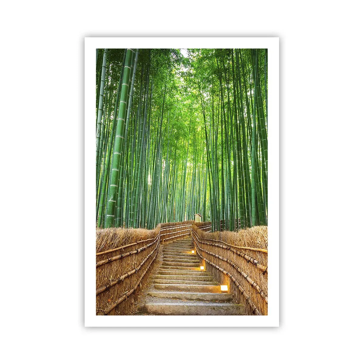 Plakat - Esencja azjatyckiej natury - 61x91 cm