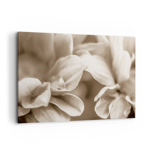 Obraz na płótnie - Zbliżenie kwiatów w delikatnej sepii o miękkich konturach - 100x70cm - Łagodne jak uśmiech - Nowoczesna dekoracja ścienna do salonu, kuchni i sypialni ARTTOR
