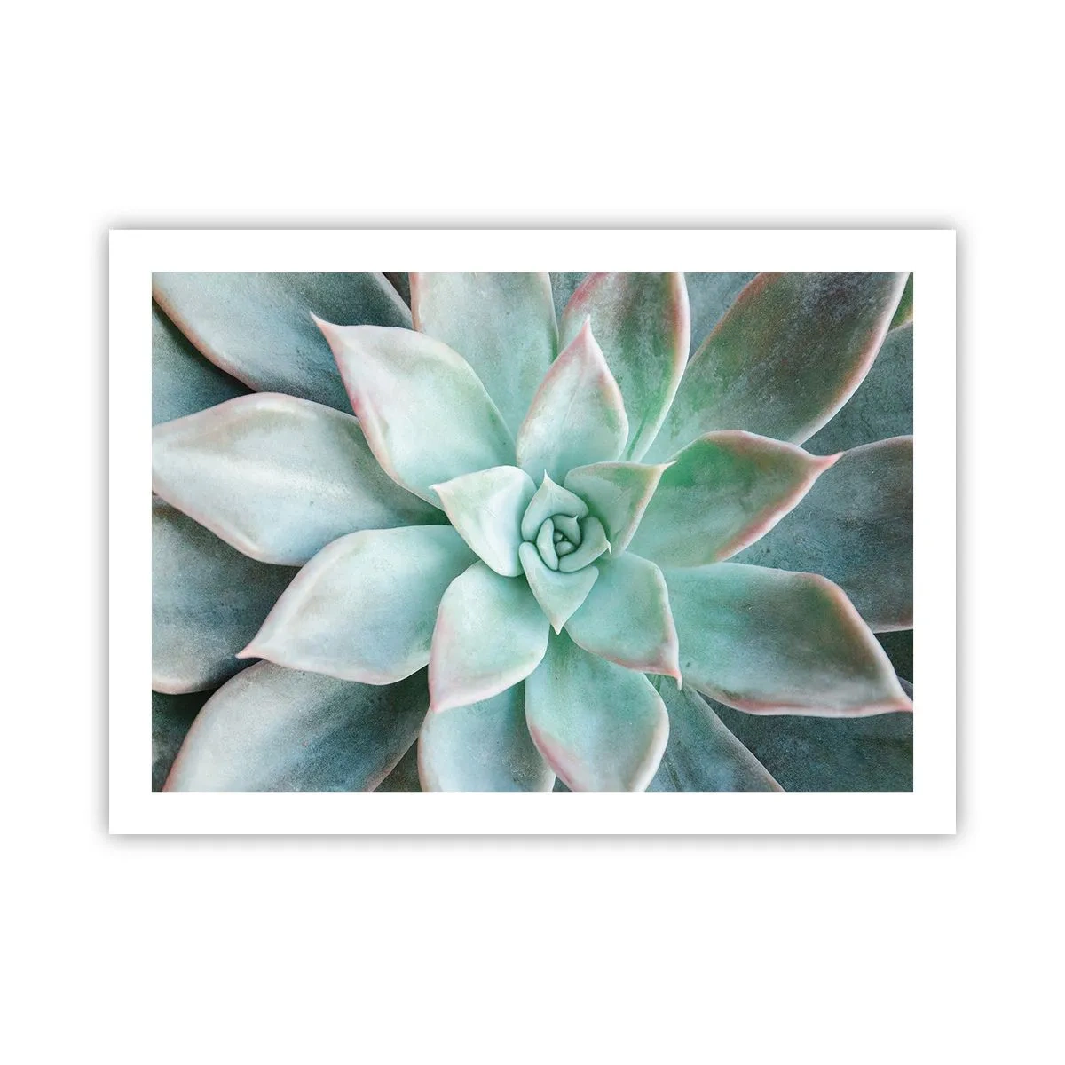Plakat - Serce pustyni - 70x50 cm