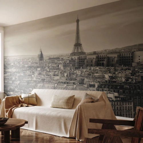 Fototapeta na wymiar Premium Sand - Nad dachami Paryża - Miasto, Paryż, Architektura