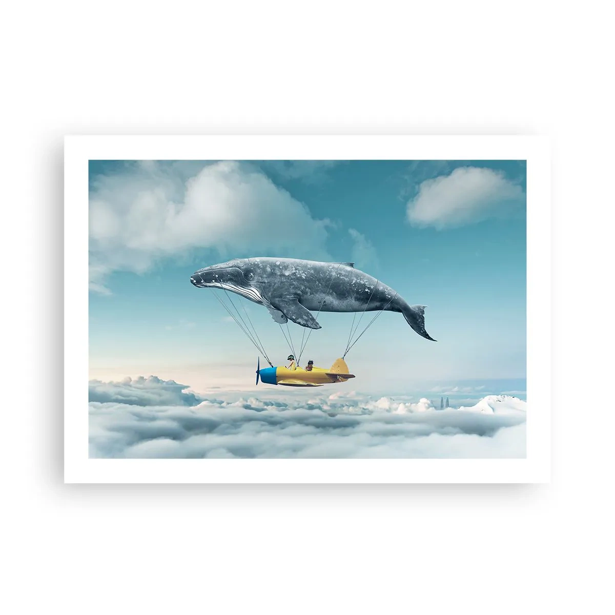 Plakat - Dlaczego nie? - 70x50 cm