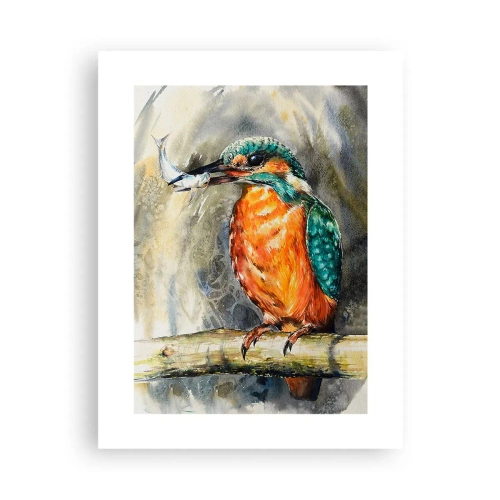 Plakat - Prawo natury - 30x40 cm