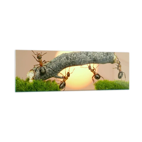 Obraz na szkle - Mrówki budujące most z gałęzi na tle zachodzącego słońca - 160x50cm - Radosna, wspólna praca - Nowoczesna dekoracja ścienna do salonu i sypialni ARTTOR