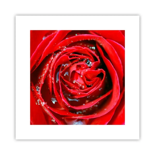 Plakat - W kroplach rosy - 30x30 cm