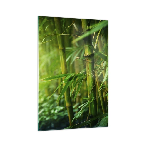 Obraz na szkle - Zielony bambusowy las w delikatnym świetle - 70x100cm - Poznać zieleń samą w sobie - Nowoczesna dekoracja ścienna do salonu i sypialni ARTTOR