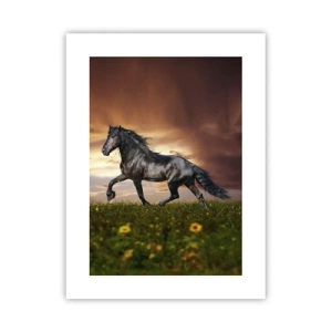 Plakat - Czarny książę - 30x40 cm