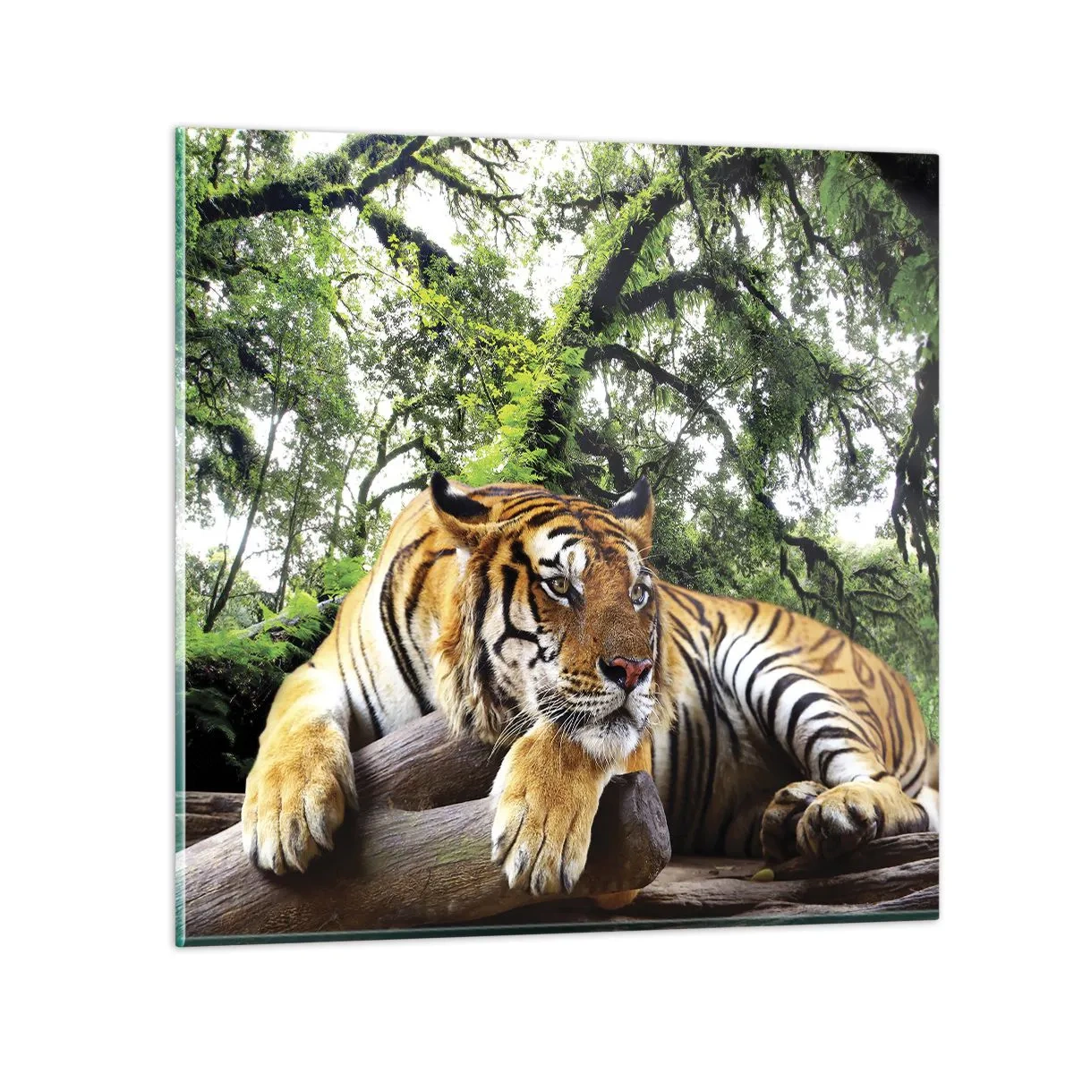 Obraz na szkle - Z wyrazami szacunku - 30x30 cm