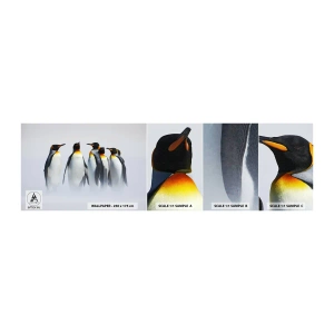 Fototapeta Próbka Standard Eco - Spotkanie w wieczorowych strojach - Zwierzęta, Pingwin, Natura - 100x30 cm