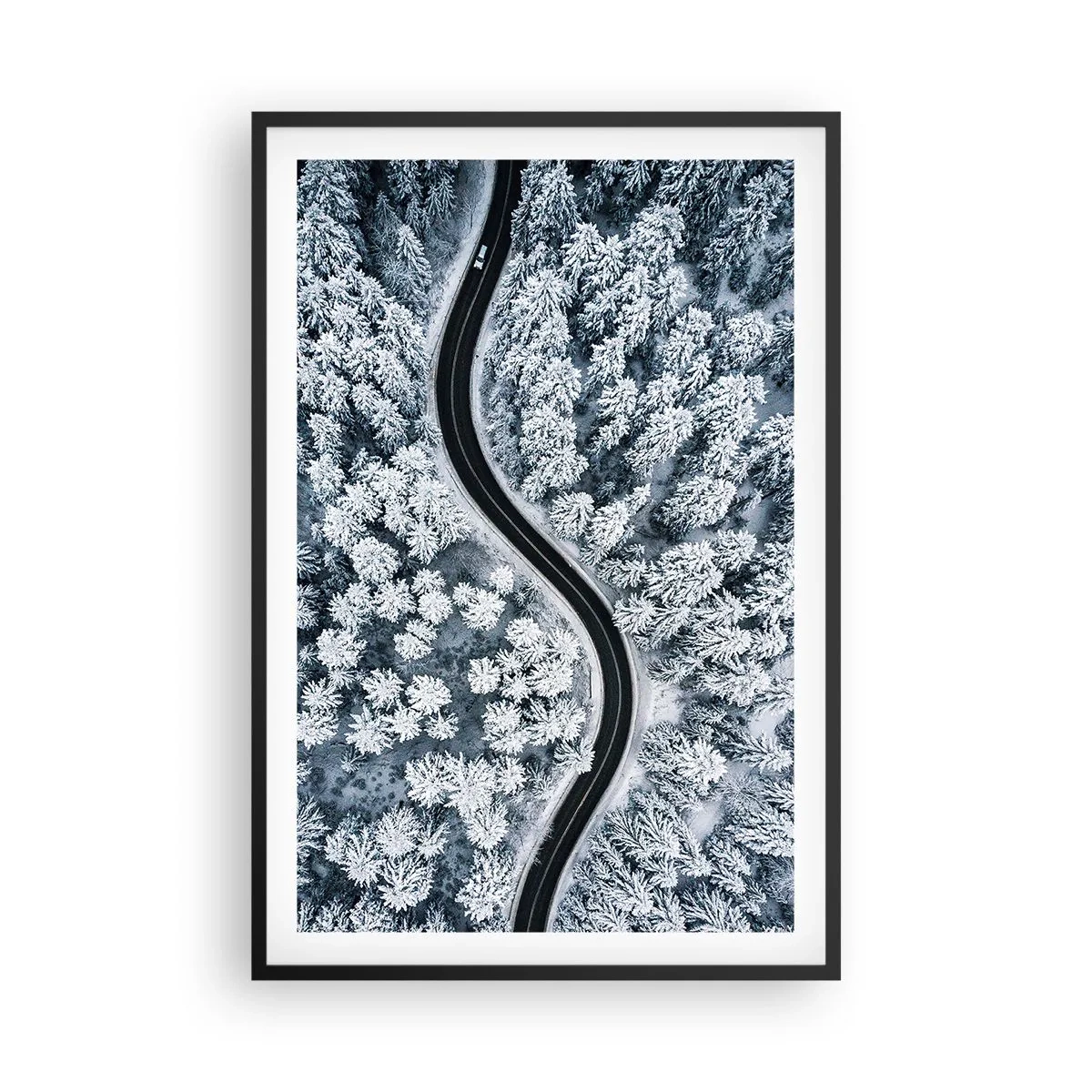 Plakat w czarnej ramie - Przez zimowy las - 61x91 cm