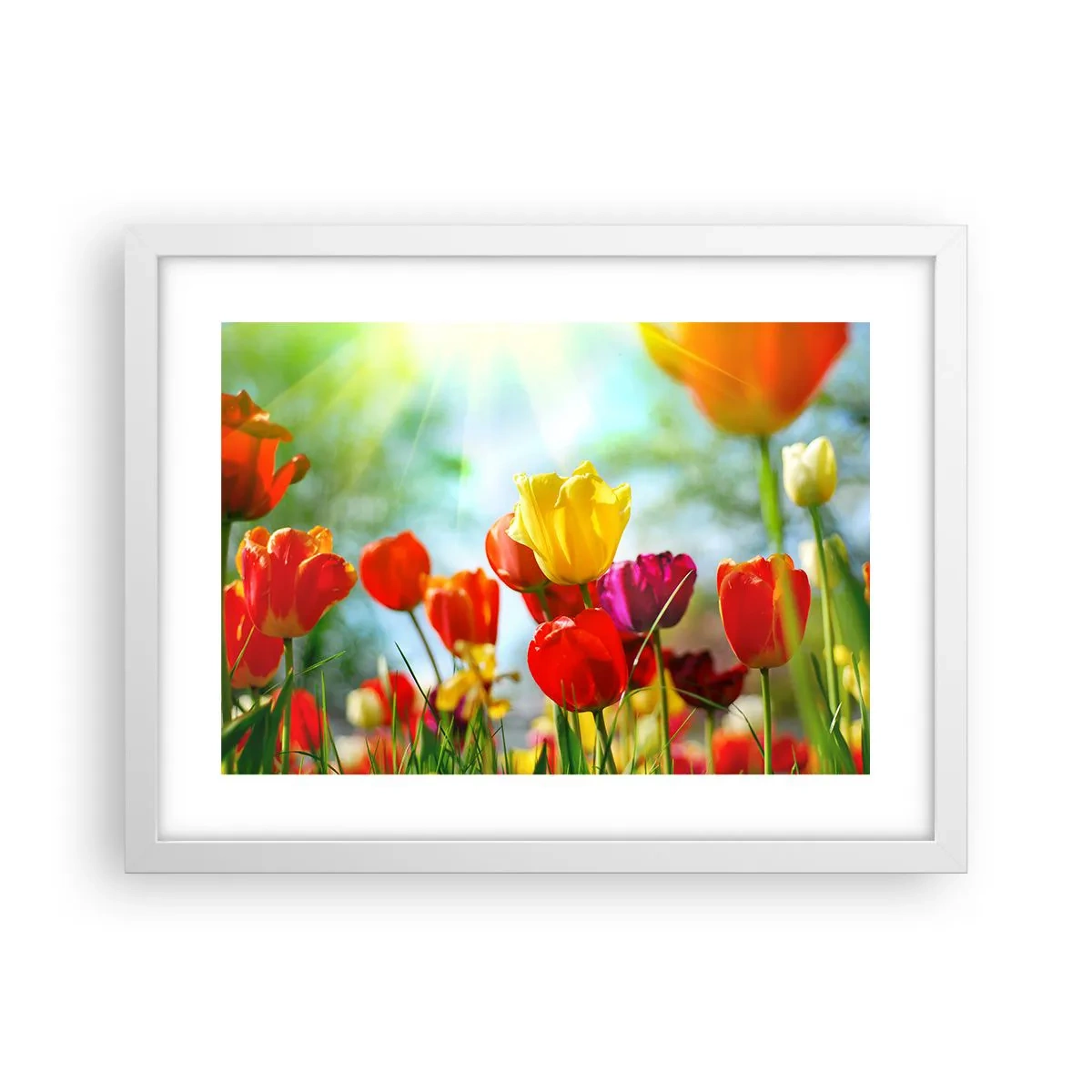 Plakat w białej ramie - Wszystkie barwy słońca - 40x30 cm
