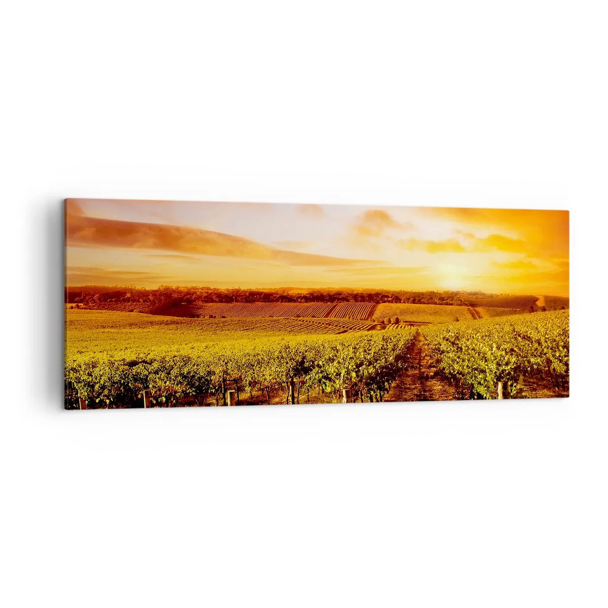 Obraz na płótnie - Winnica o zachodzie słońca z ciepłymi odcieniami nieba - 140x50cm - Delikatnie owocowe z nutą słońca - Nowoczesna dekoracja ścienna do salonu i sypialni ARTTOR