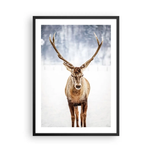 Plakat w czarnej ramie - Dostojny jeleń na tle zimowego krajobrazu - 50x70cm - Prosto ze śnieżnej mgły - Nowoczesna dekoracja ścienna do salonu i sypialni ARTTOR