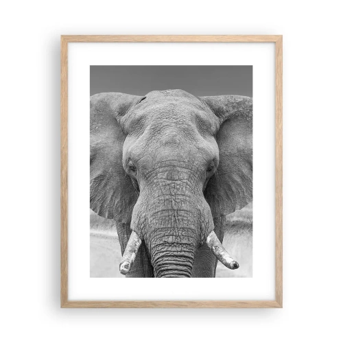 Plakat w ramie jasny dąb - Witaj w moim świecie - 40x50 cm