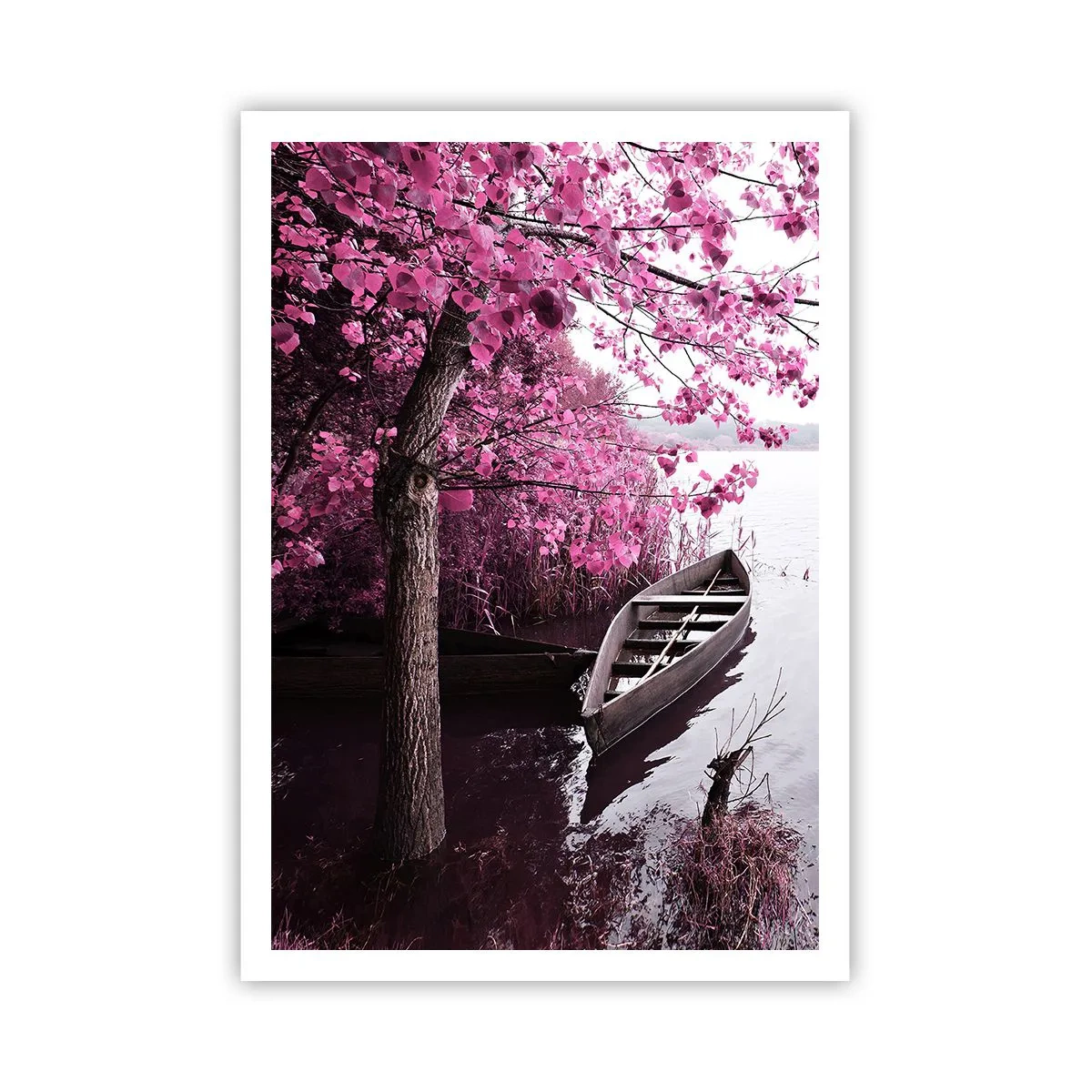 Plakat - W różowej ciszy - 70x100 cm