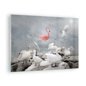 Obraz na szkle - Różowy flaming wśród białych łabędzi i czapli na tle wody - 70x50cm - Skąd się tu wziąłem? - Nowoczesna dekoracja ścienna do salonu i sypialni ARTTOR