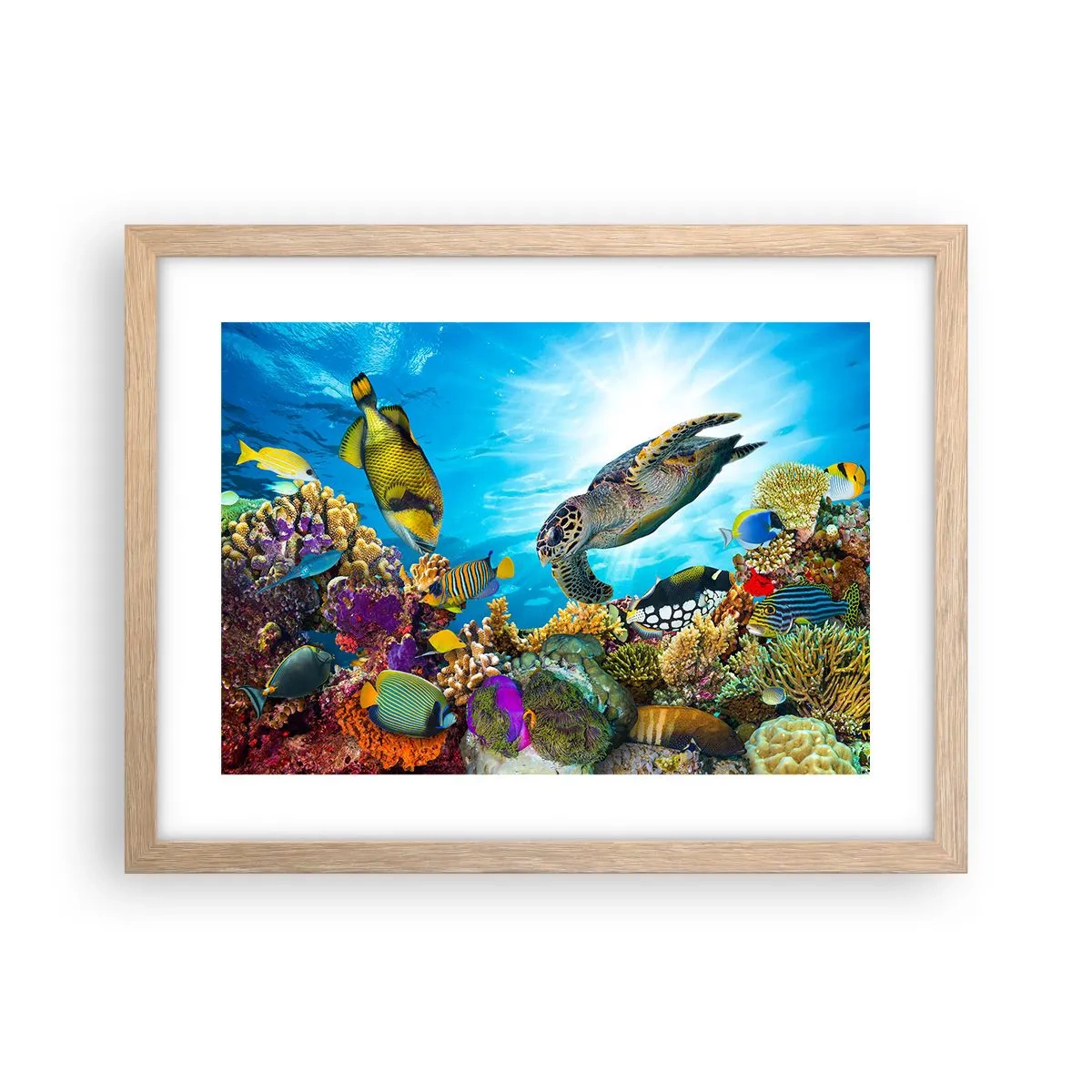 Plakat w ramie jasny dąb - Koralowa promenada - 40x30 cm