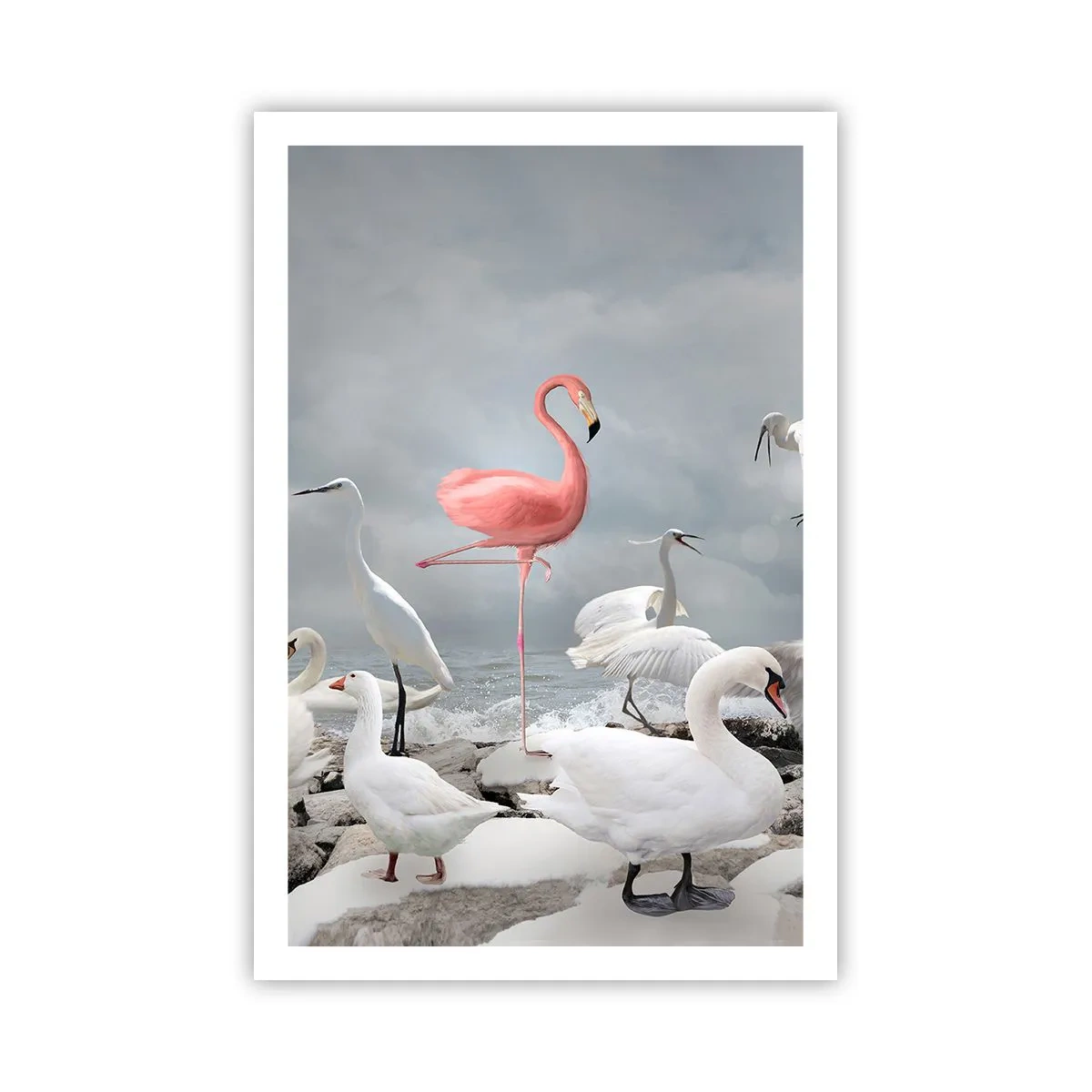 Plakat - Skąd się tu wziąłem? - 61x91 cm
