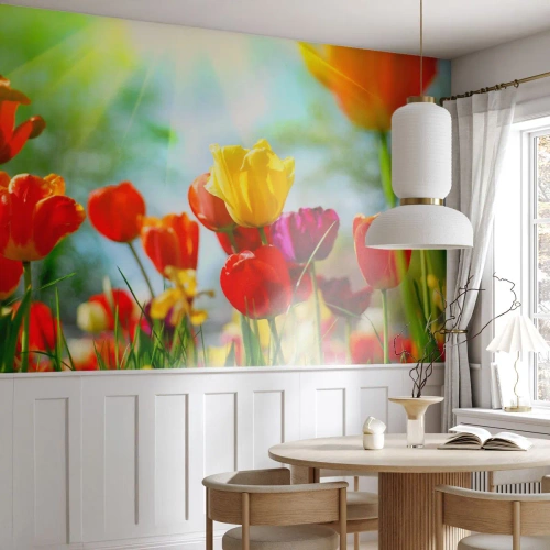 Fototapeta Premium Canvas - Wszystkie barwy słońca - Tulipany, Kwiaty, Łąka - 150x105 cm