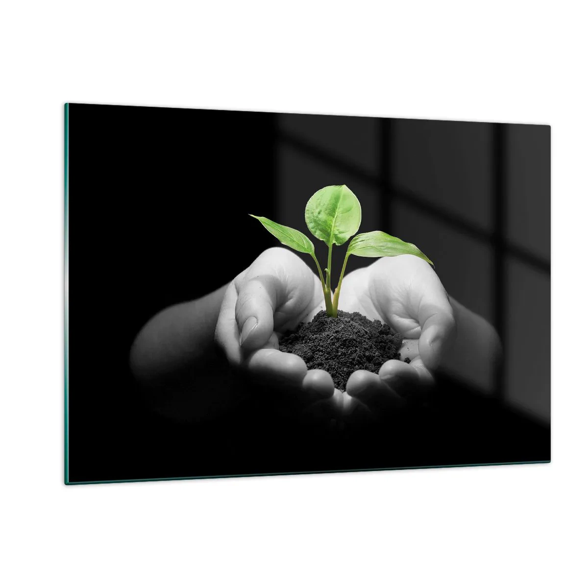 Obraz na szkle - Młoda roślina w dłoniach na tle czerni - 120x80cm - Kocham naturę, chronię ją - Nowoczesna dekoracja ścienna do salonu, kuchni i sypialni ARTTOR