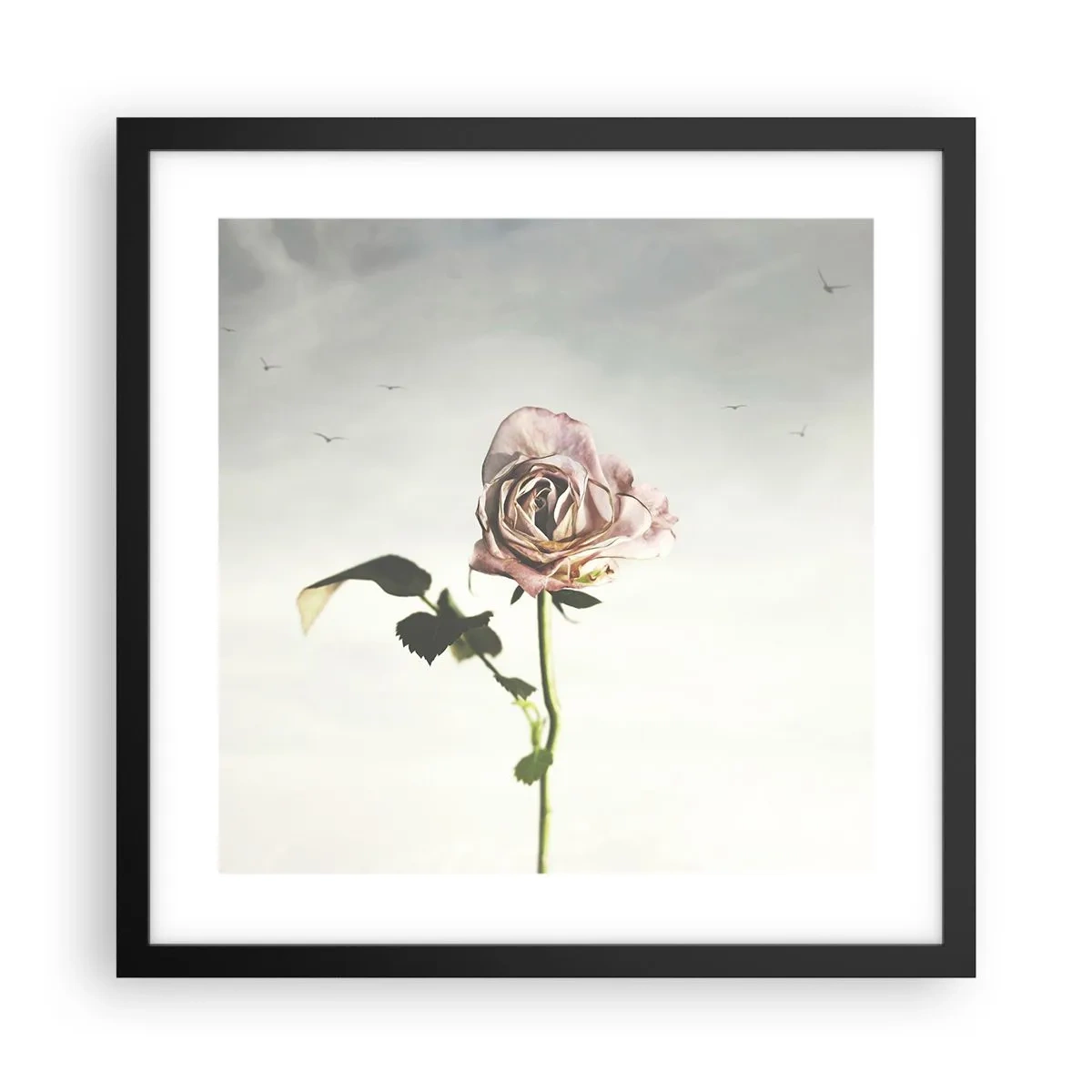 Plakat w czarnej ramie - Powitanie wiosny - 40x40 cm