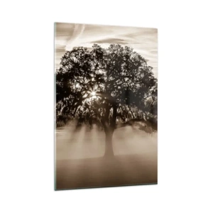 Obraz na szkle - Promienie słońca przebijające przez samotne drzewo - 80x120cm - Drzewo wiadomości samego dobrego - Nowoczesna dekoracja ścienna do salonu i sypialni ARTTOR