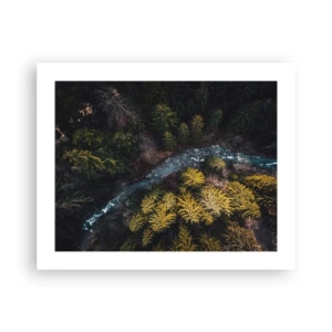 Plakat - Szybko, coraz szybciej - 50x40 cm