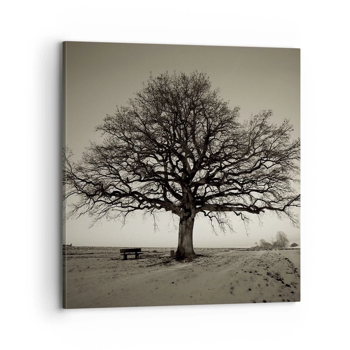 Obraz na płótnie - Stąd do wieczności - 70x70 cm