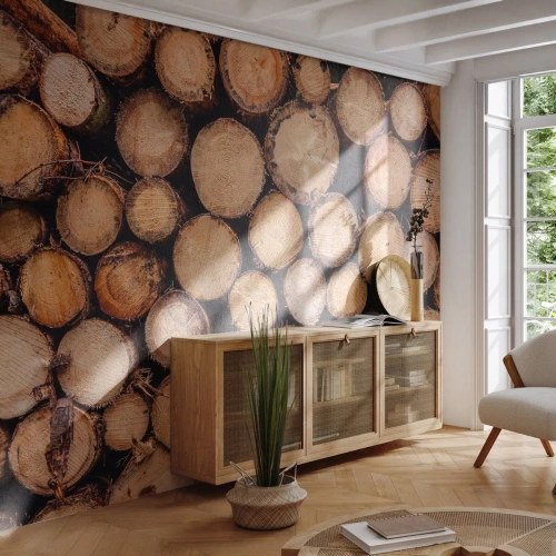 Fototapeta Premium Sand - Nowy początek - Drewno, Kłody Drewna, Natura - 300x210 cm