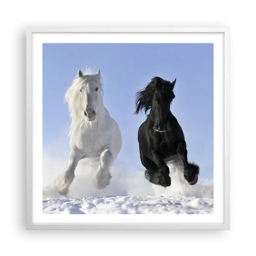Plakat w białej ramie - Czarno-biały galop - 60x60 cm