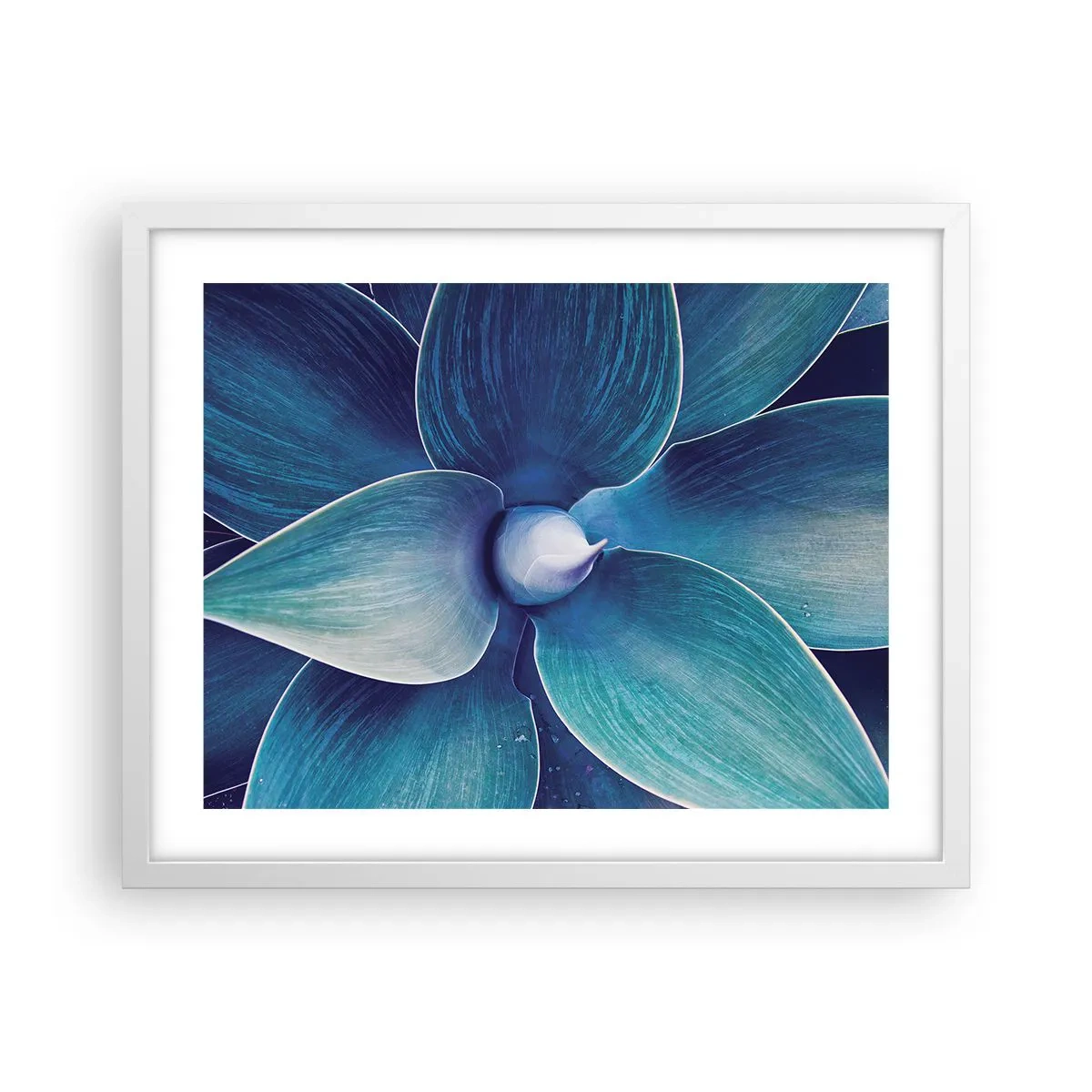 Plakat w białej ramie - Zbłękitniały od nieba - 50x40 cm