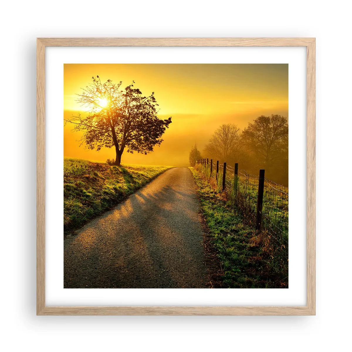 Plakat w ramie jasny dąb - Miodne popołudnie - 50x50 cm