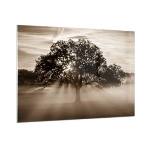 Obraz na szkle - Drzewo w porannej mgle z promieniami słońca przebijającymi przez gałęzie - 100x70cm - Drzewo wiadomości samego dobrego - Nowoczesna dekoracja ścienna do salonu, kuchni i sypialni ARTTOR