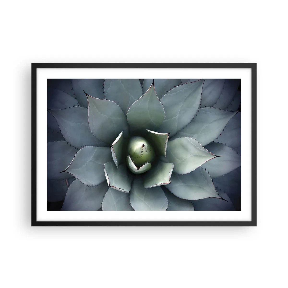 Plakat w czarnej ramie - Zbliżenie na rozetę agawy w delikatnych odcieniach zieleni - 70x50cm - Wabi i przestrzega - Nowoczesna dekoracja ścienna do salonu i sypialni ARTTOR
