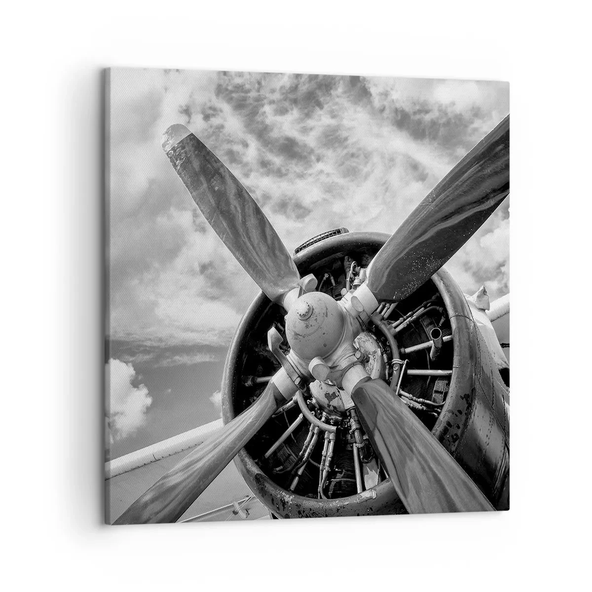 Obraz na płótnie - Pogromca przestworzy - 50x50 cm