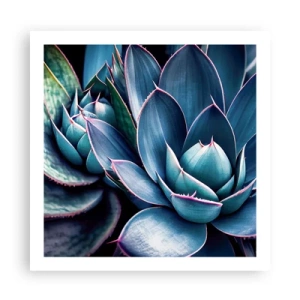 Plakat - Witalna siła - 60x60 cm