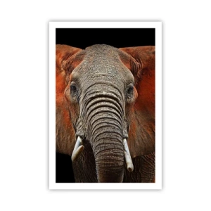 Plakat - Jestem dziki, a ty? - 61x91 cm