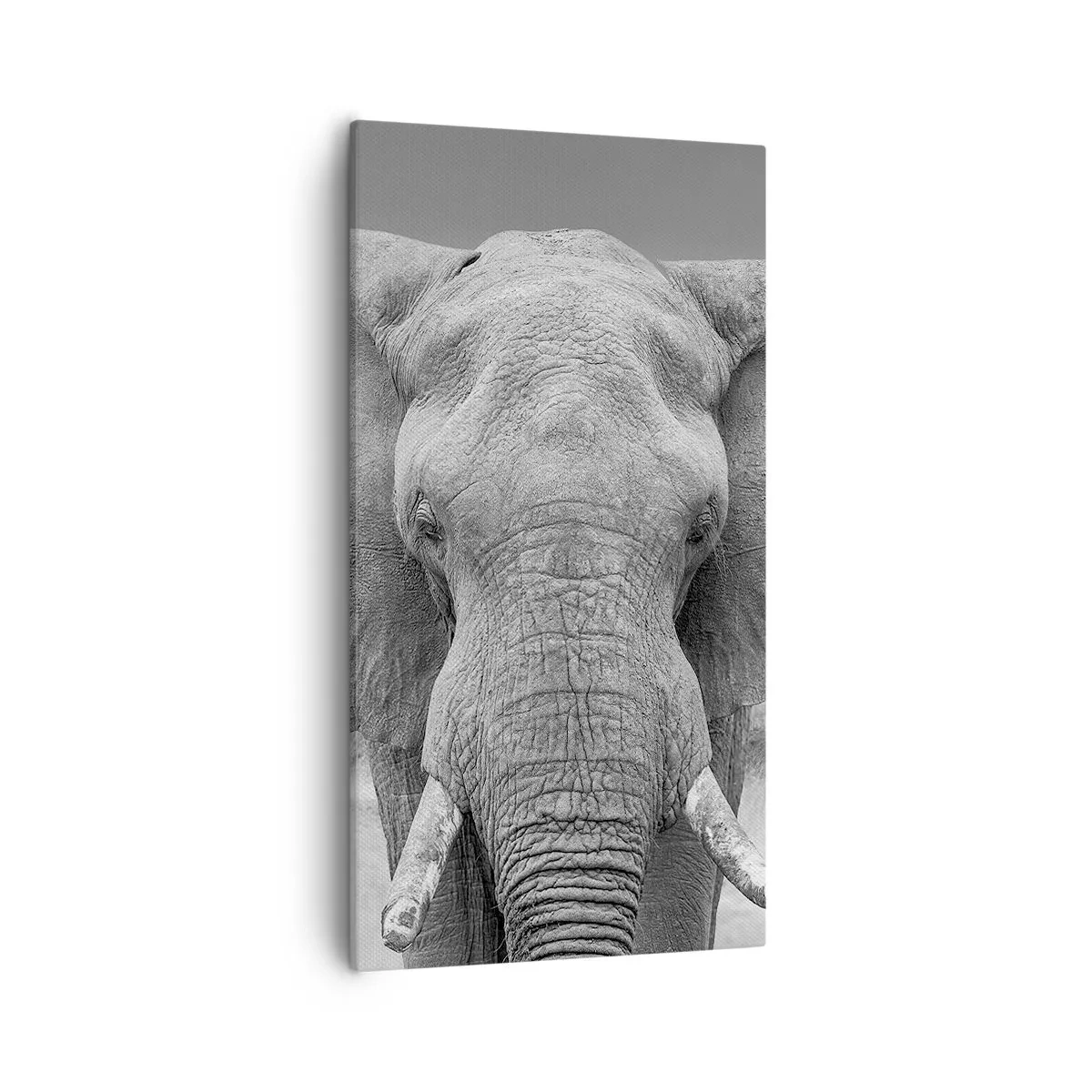 Obraz na płótnie - Witaj w moim świecie - 55x100 cm