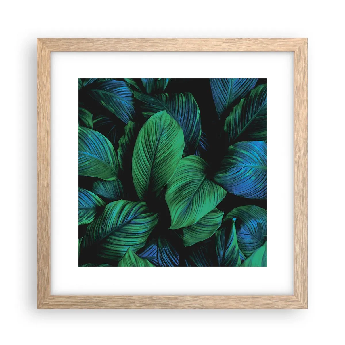 Plakat w ramie jasny dąb - W zielonym tłumie - 30x30 cm