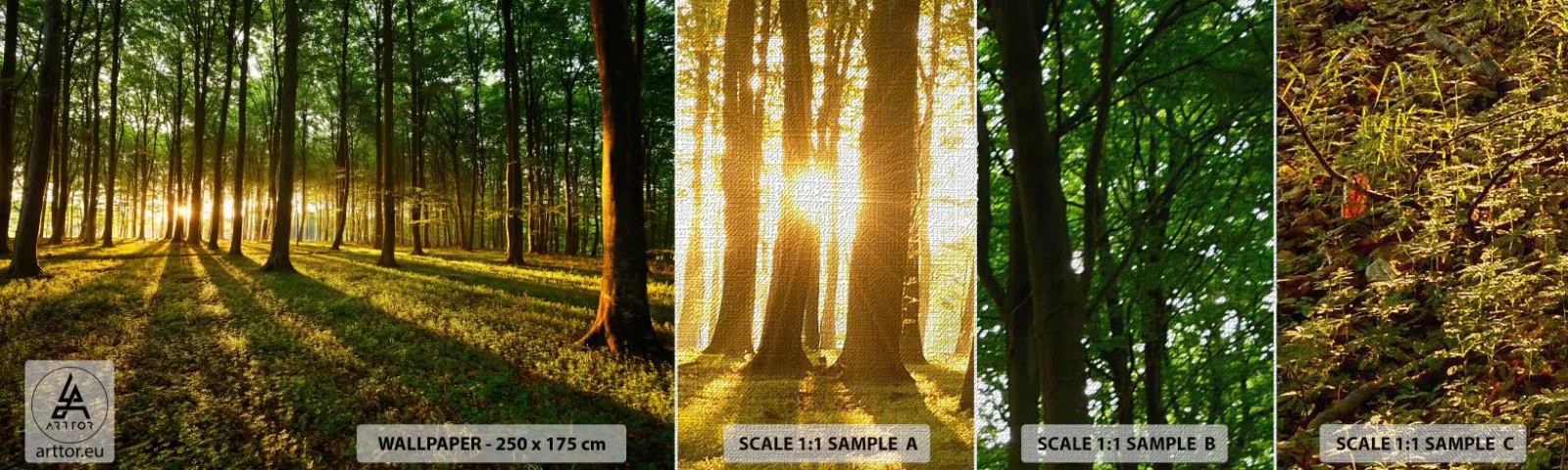 Fototapeta Próbka Premium Canvas - Fotografia wszystkich wiosen - Krajobraz, Las, Natura - 100x30 cm