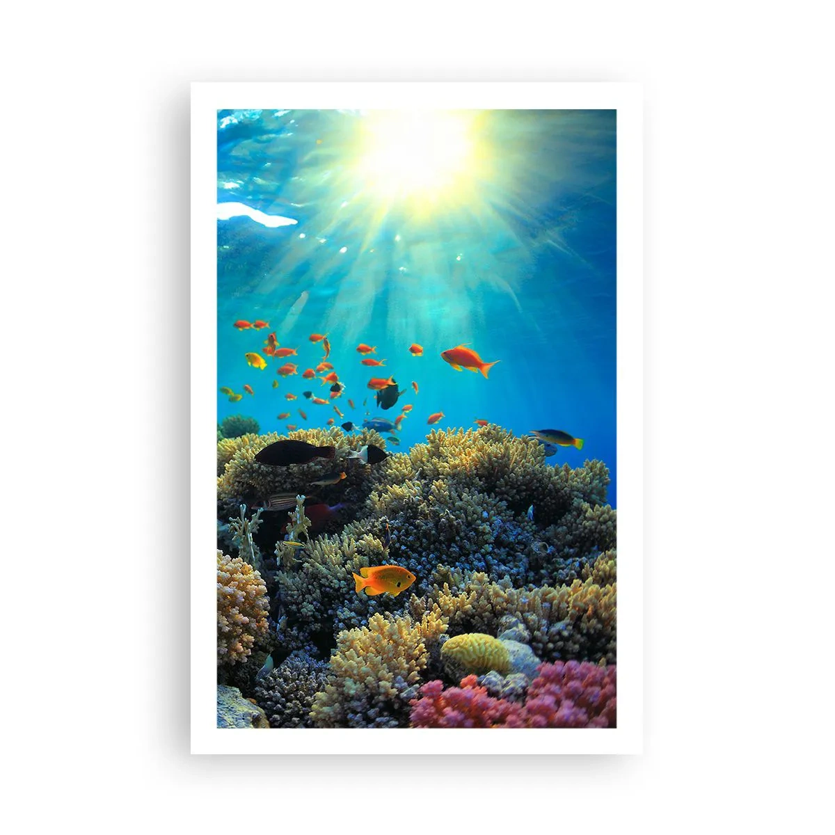 Plakat - Podwodne skarby - 61x91 cm