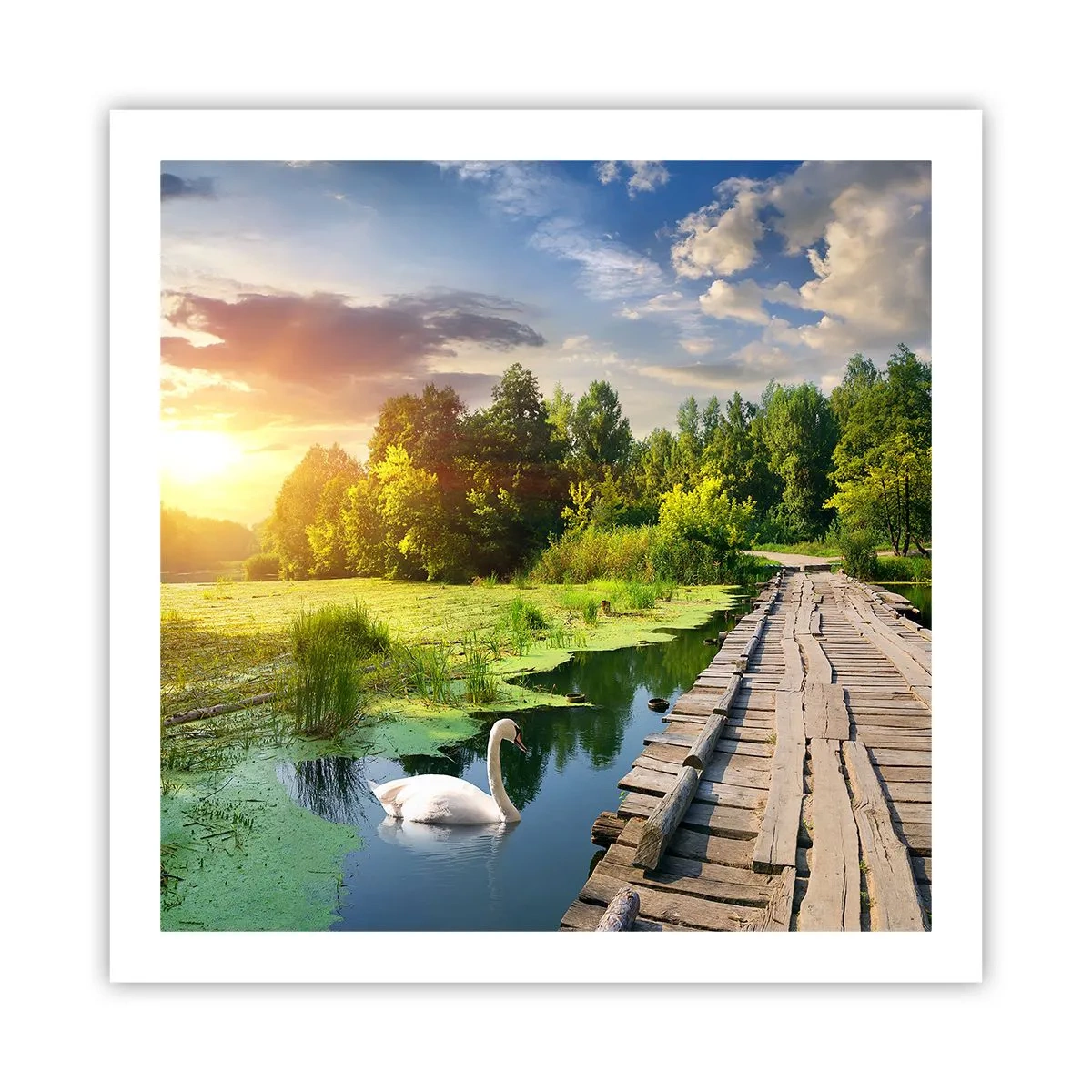 Plakat - Lato, lato wszędzie - 60x60 cm
