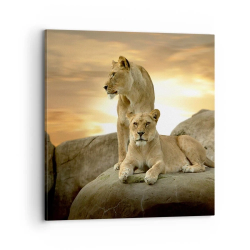 Obraz na płótnie - Królewski majestat - 70x70 cm