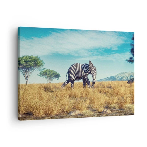 Obraz na płótnie - Zebra w afrykańskim krajobrazie - 70x50cm - Szarość już niemodna - Nowoczesna dekoracja ścienna do salonu i sypialni ARTTOR