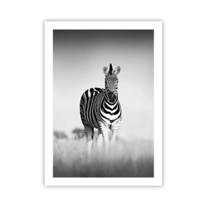 Plakat - Zebra w czarno-białej kompozycji na sawannie - 50x70cm - A jednak świat jest czarno-biały - Nowoczesna dekoracja ścienna do salonu, kuchni i sypialni ARTTOR