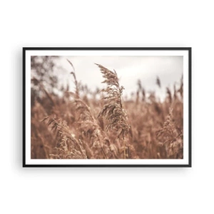 Plakat w czarnej ramie - Złote trawy na tle jesiennej scenerii - 100x70cm - Na polach już jesień - Nowoczesna dekoracja ścienna do salonu i sypialni ARTTOR