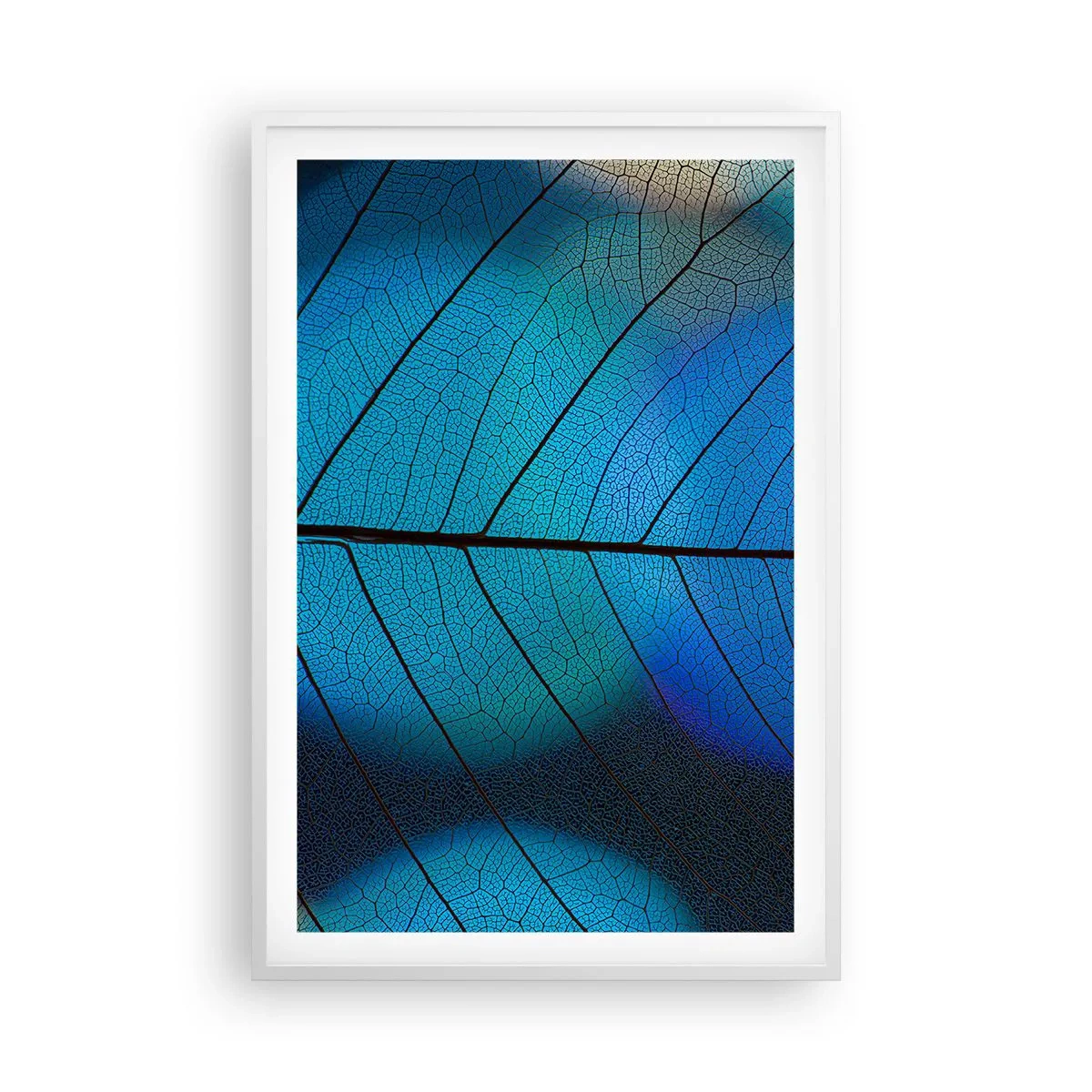 Plakat w białej ramie - Misterna budowa - 61x91 cm