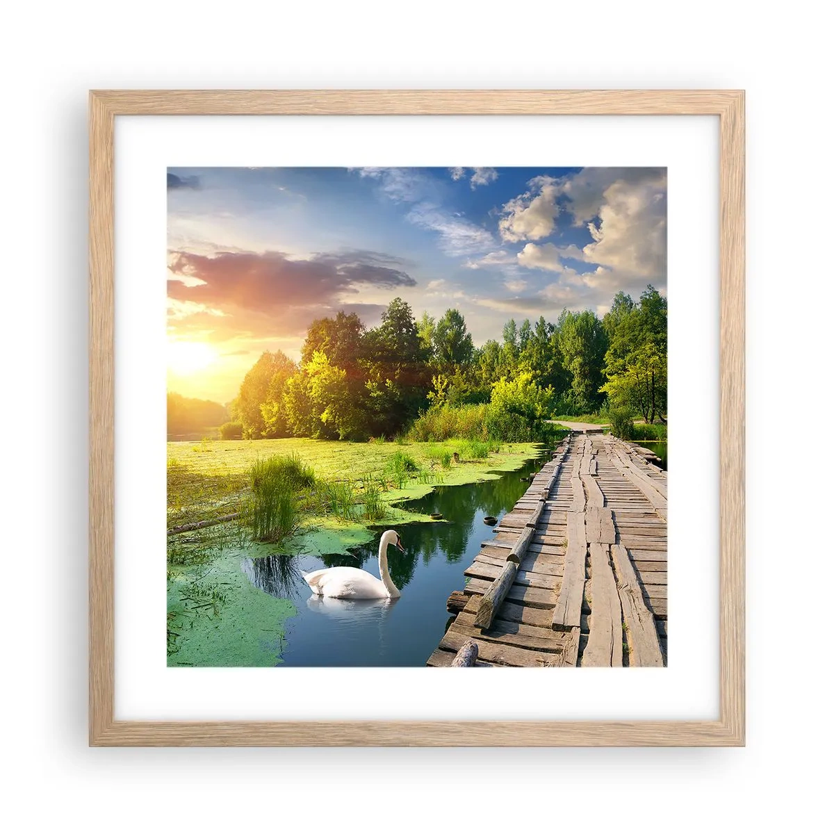 Plakat w ramie jasny dąb - Lato, lato wszędzie - 40x40 cm