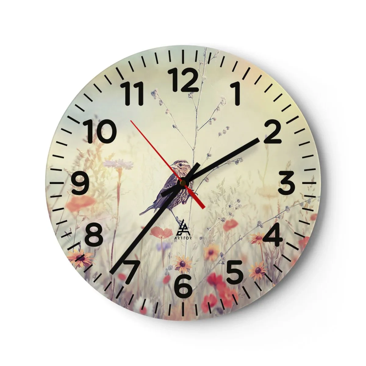 Zegar ścienny - Ptasi portret z łąką w tle - 40x40 cm