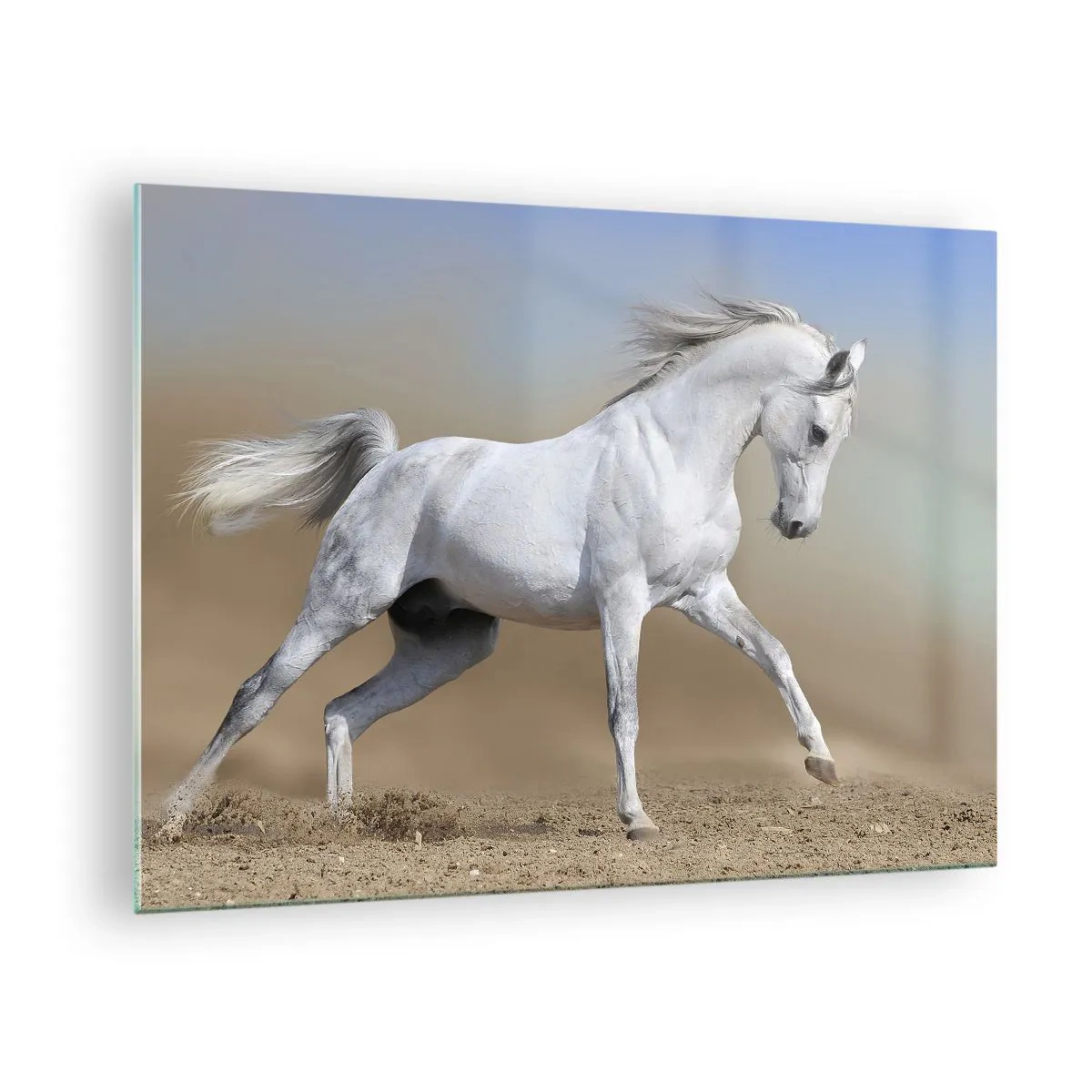 Obraz na szkle - Biały koń galopujący po piaszczystym podłożu - 70x50cm - Najpiękniejsza arabska baśń - Nowoczesna dekoracja ścienna do salonu i sypialni ARTTOR
