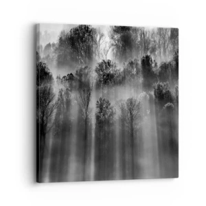 Obraz na płótnie - W strumieniach światła - 30x30 cm
